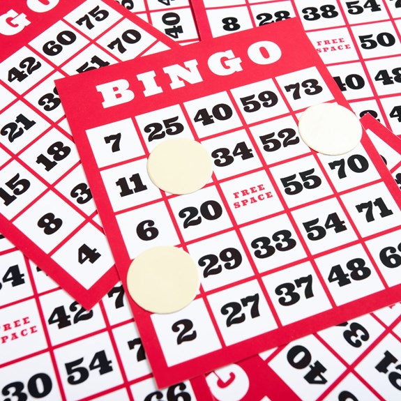 Singo Bingo Femenino